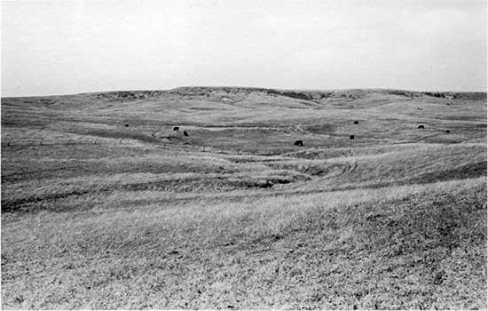 Black and white photo of low gentle hills, Blue Hill Shale Member of the Carlile Shale.