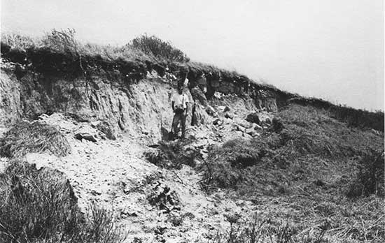 Black and white photo of Codell Sandstone outcrop caused byy slumping.