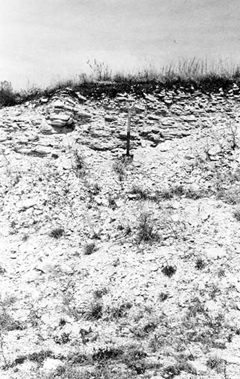 Black and white photo of gravel quarry wall with exposure of Smoky Hill Chalk Member of the Niobrara Chalk.
