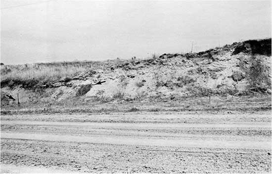 Black and white photo of cemented alluvial sand and gravel of Ogallala Formation.