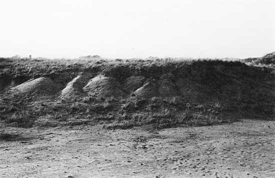 Black and white photo of alluvial sand and gravel of Pleistocene age in a quarry.