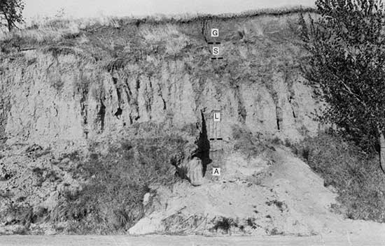 Black and white photo of steep hillside with outcrops of four late Quaternary units.