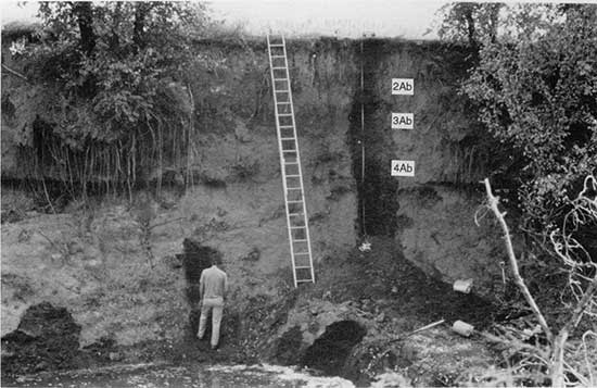 Black and white photo of work going on at the Paschal site; steep clif with extension ladder; several cut areas where fresh samdples are examined.