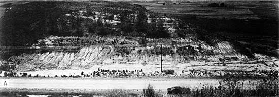 Black and white photo of Dakota outcrop on hillside.