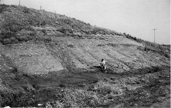 Black and white photo of Graneros Shale exposure in roadcut.