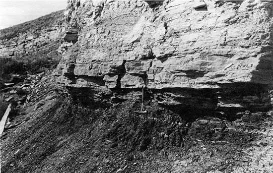 Black and white photo of contact between Graneros Shale and Greenhorn Limestone.