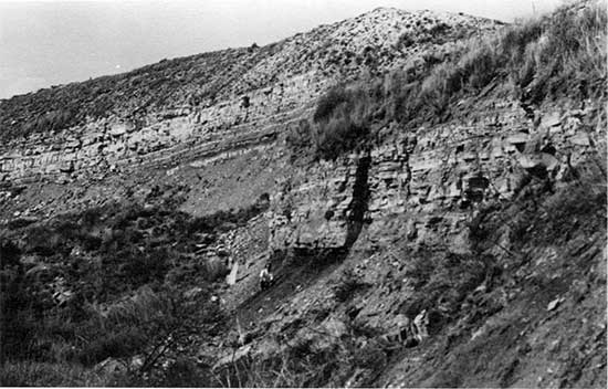 Black and white photo of Greenhorn Limestone outcrop in a river bed.