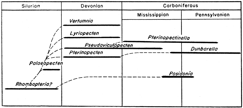 Hypothetical phylogeny of the family Pterinopectinidae; entirely tentative and subject to revision.