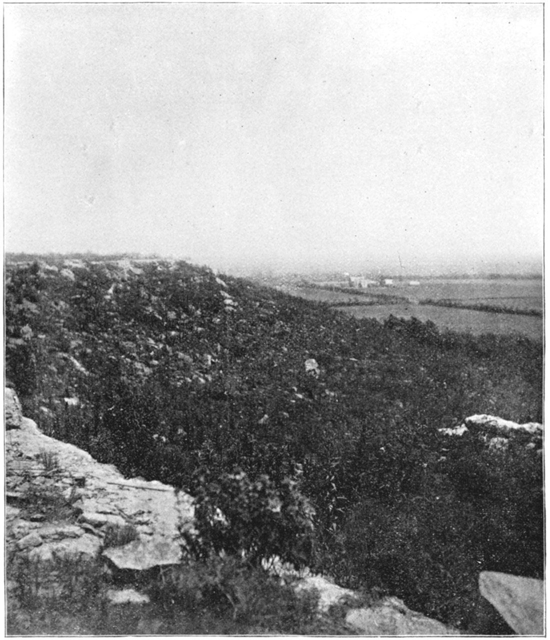 Black and white photo of Mound Valley Limestone.