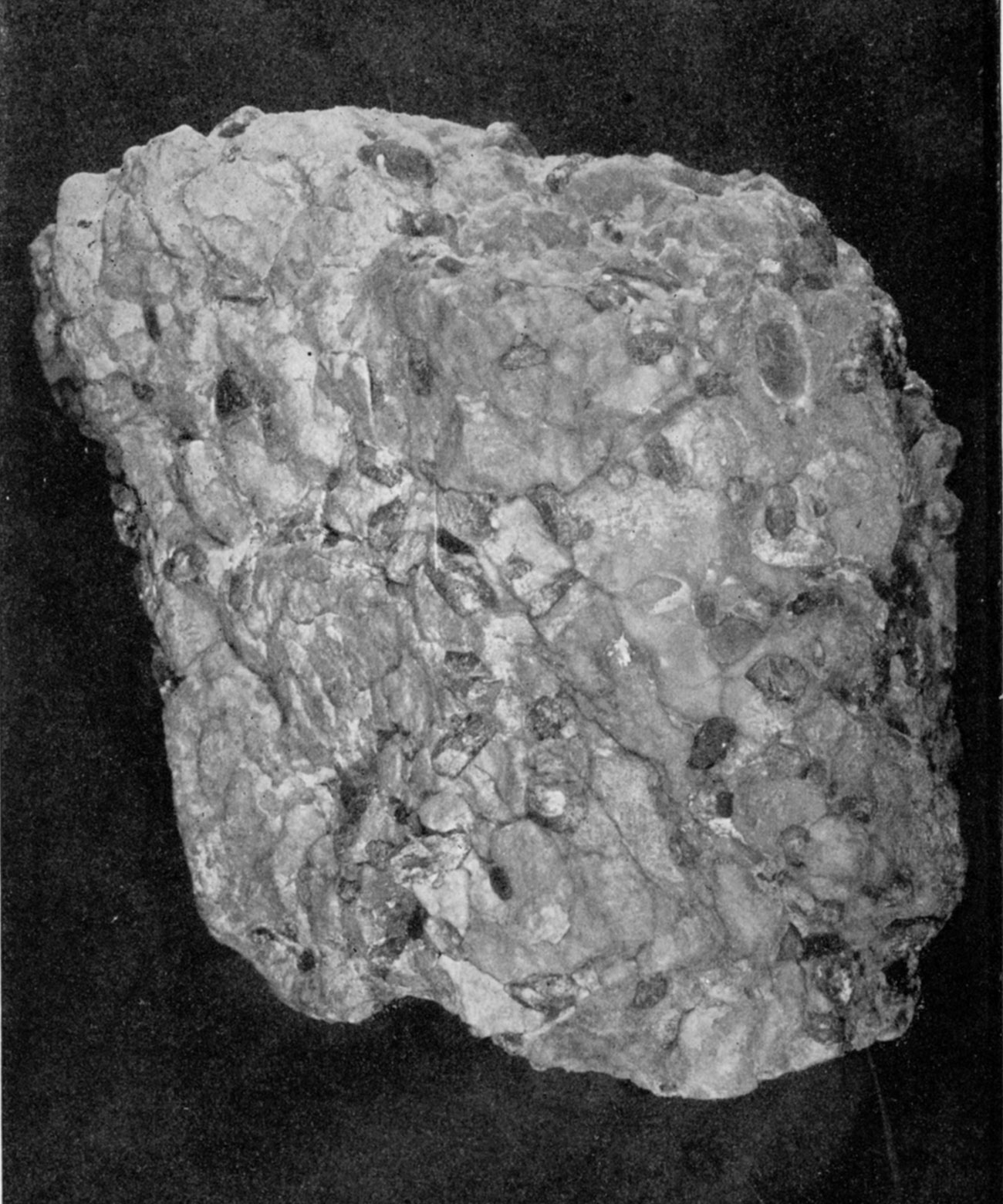 Frontispiece, Rock Gypsum Containing Selenite Crystals.