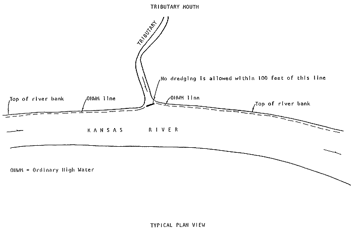 Tributary Mouth