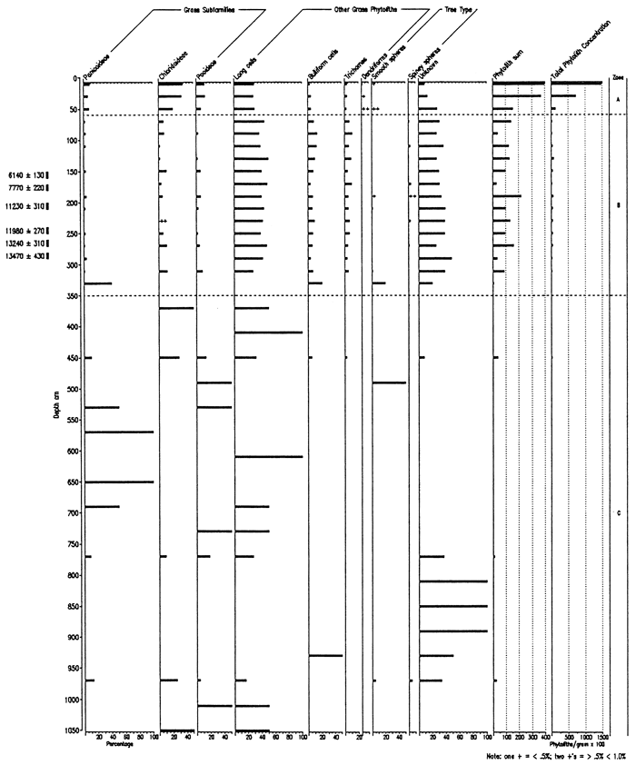 Phytolith Types from the Sumner Hill Site.