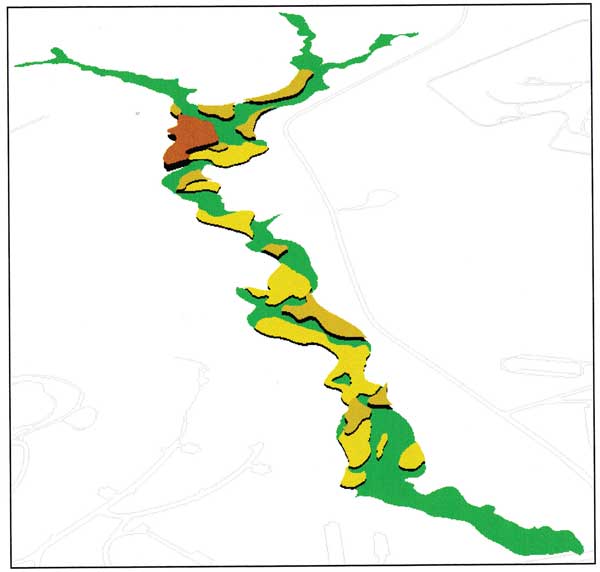 Onemile Creek in 3-D imaging.