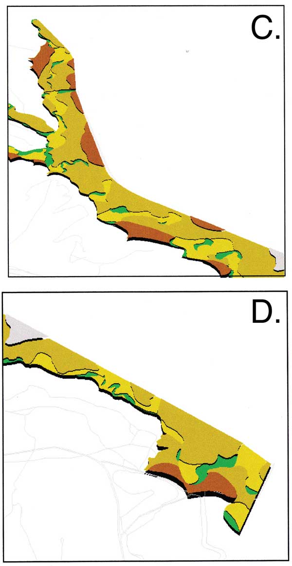 Wildcat Creek (Middle and Lower) in 3-D imaging.