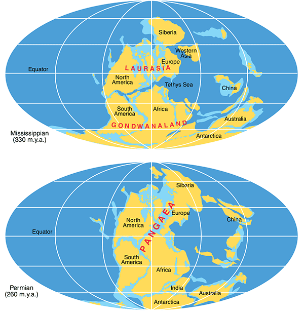 Maps of the world as it appeared in the Mississippian and Permian periods.