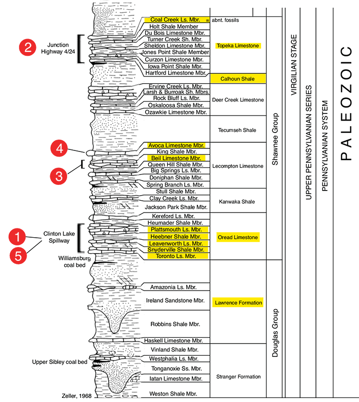 Stratigraphic classification of Upper Pennsylvanian rocks in Kansas showing rocks of Shawnee and Douglas groups.