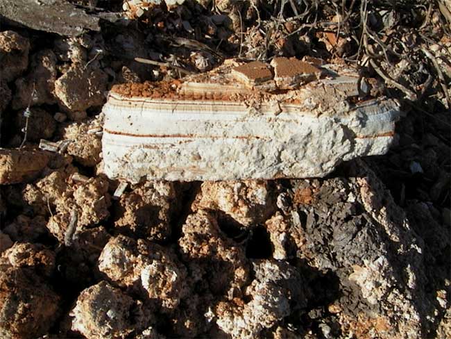 sample of rock found at landfill