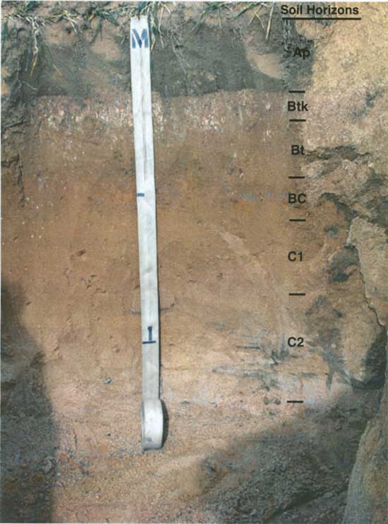 Photo of trench; a little over 1 meter deep; soils described in text.