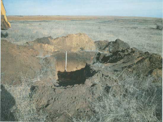 Photo of T-shaped trench; a little over 1 meter deep; soils described in text.