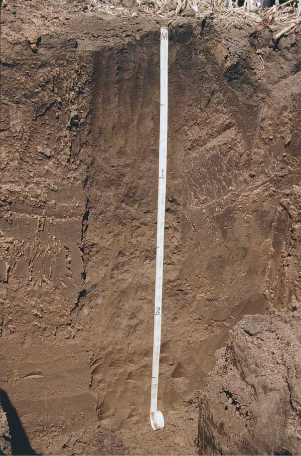 Trench is almost 3 meters deep; material is darker at top and grows lighter at about 1 meter.