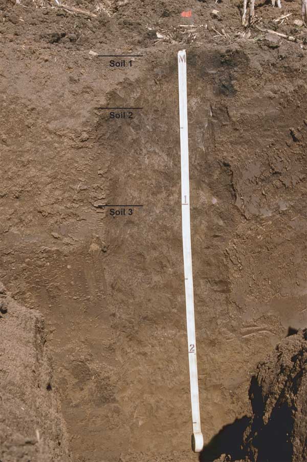 Trench is about 2.5 meters deep; material similar in color from top to bottom.
