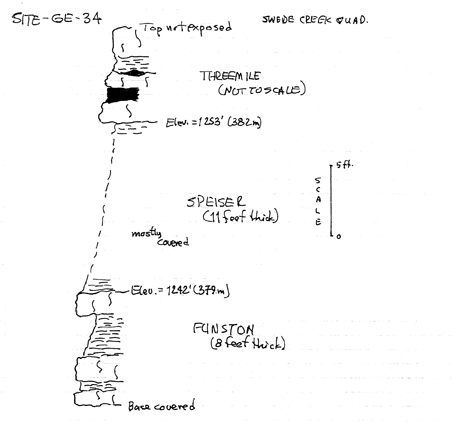 drawing of stratigraphic section