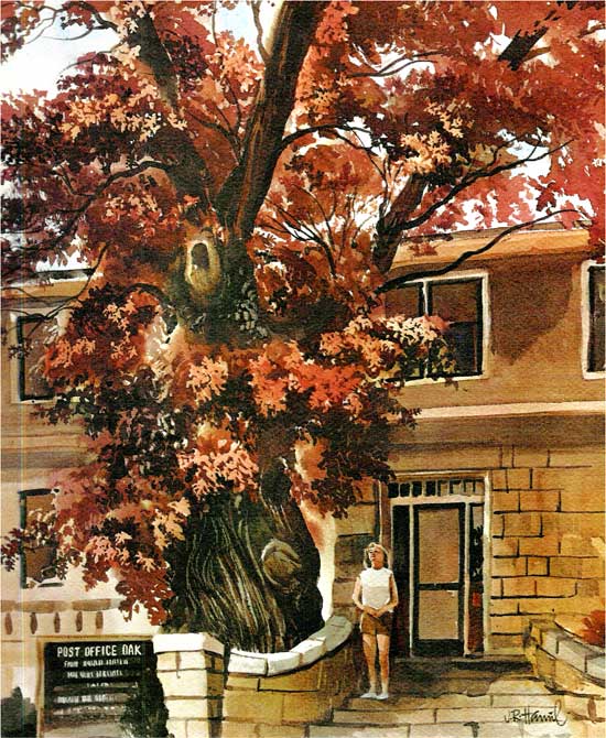 Watercolor of tree in fall colors, oak red, in front of tan post office; young woman stands on stairs.