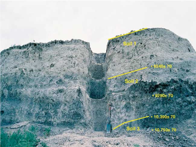 Photo showing sampling sites at Willems fans and ages found.