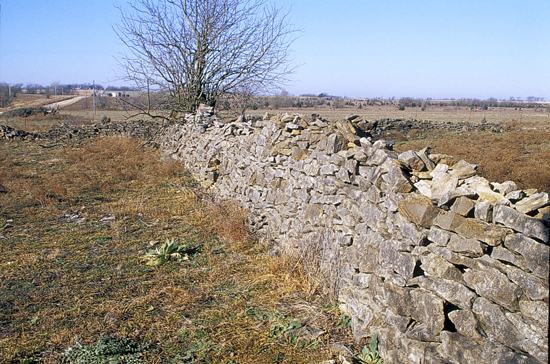 AN-stone-fence-near-Colony