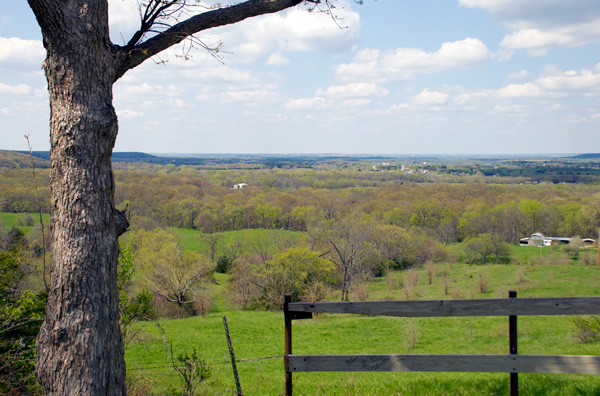 DG-08-Spring-view-from-Signal-Oak