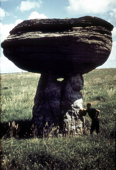 EW-Mushroom-Rock-1974