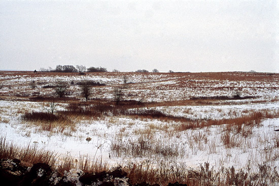 HP-winter-Permian-landscape