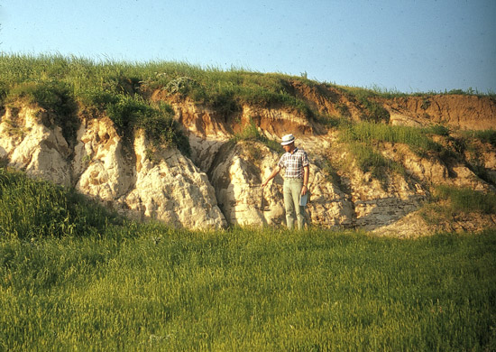 MP-Pearlette-Ash-outcrop