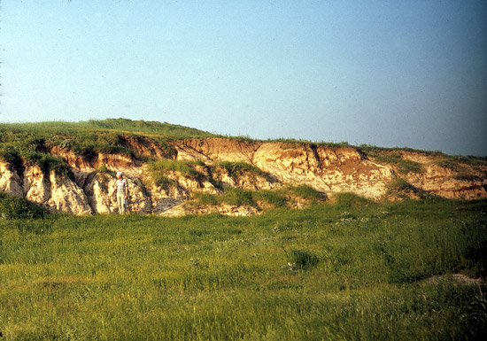 MP-Volcanic-ash-bed