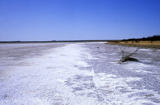 SC-Dry-Lake
