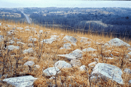 Boulders, carried into northeast Kansas by glaciers, were deposited on a hill near Wamego.