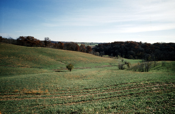 Gentle hills of loess farmland in Doniphan County.