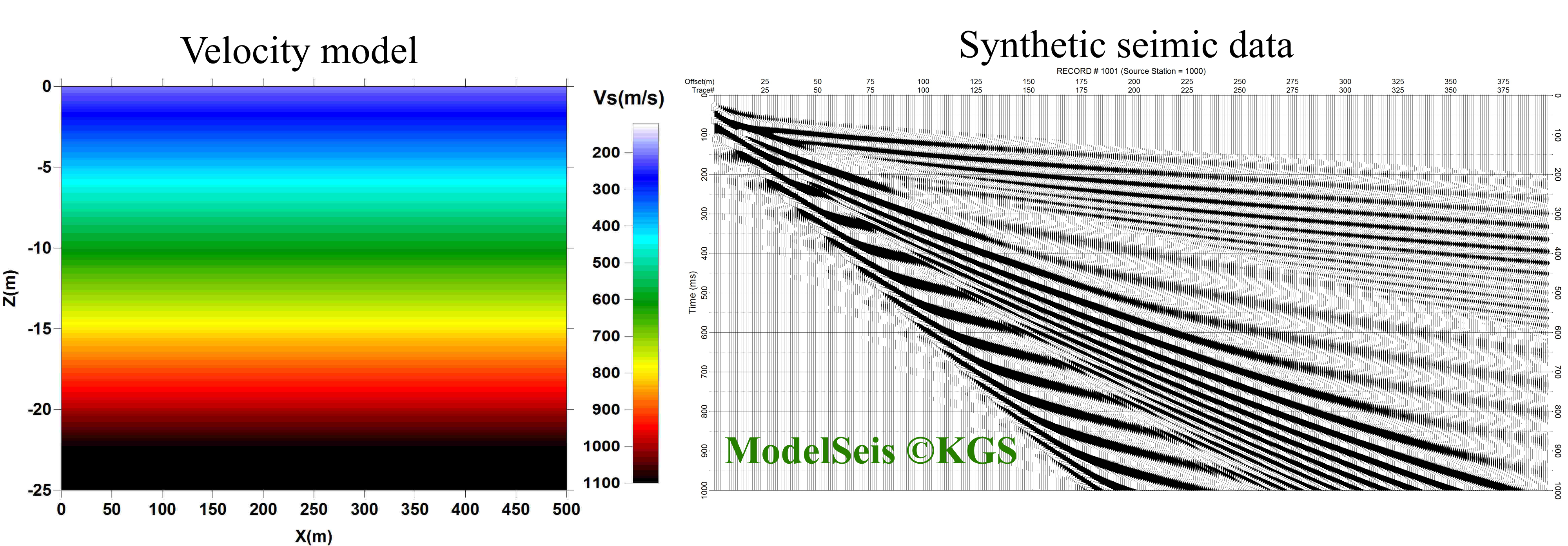 Velocity model and synthetic seismic data