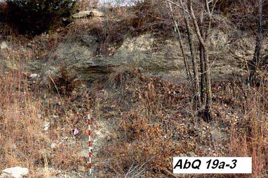 photo of Florena shale and Morrill limestone