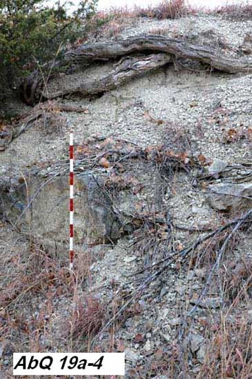 photo of Cottonwood limestone and Florena shale