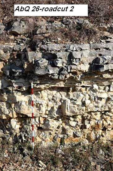 photo of Florence limestone