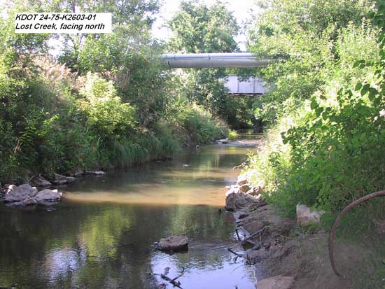 fast moving stream with trees and brush