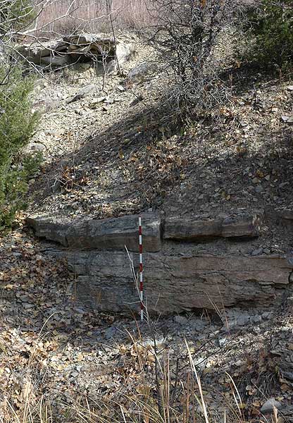 Resistant limestone bed at base of hill with shales and rubble above abd below; bed is 5 or so ft thick.