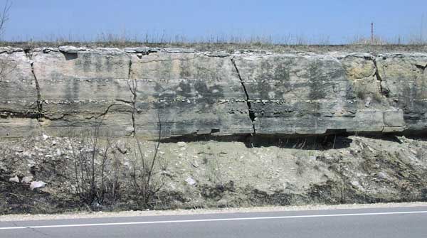 Very thick limestone bed, mottled gray, with two beds of chert about 1/3 and 2/3 up from base.