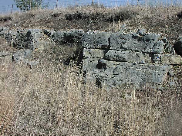 Gray and tan limestone, massive but with two or three bedding planes in bed 4 ft or so thick.