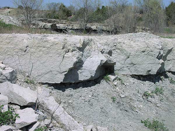 Light gray to white limestone, massive; bright blue sky; no scale but looks to be 2 ft in thickness.