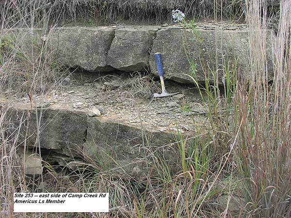 Dark gray to brown beds, each about a foot thick (rock hamme for scale; with thin eroded zone between.