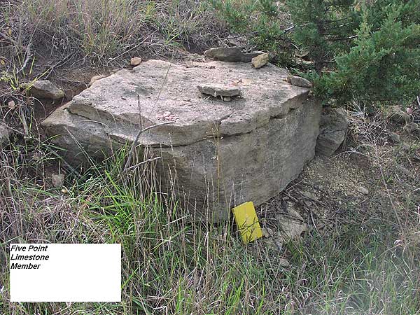 Single block of gray to tan limestone, 1.5 to 2 ft on a side.