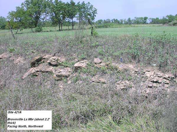 Persistent but broken up limestone bed; rock hammer for scale shows whole set to be 2-3 ft thick; grasses and weeds above and within bed.