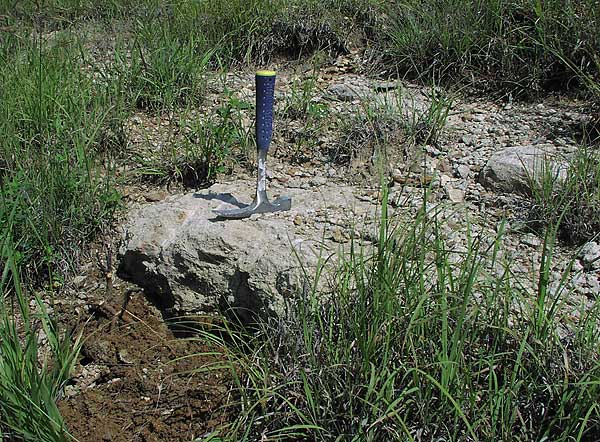 Single boulder of limestone with rock hammer for scale; about 8 in. thick, 1.5 ft across.